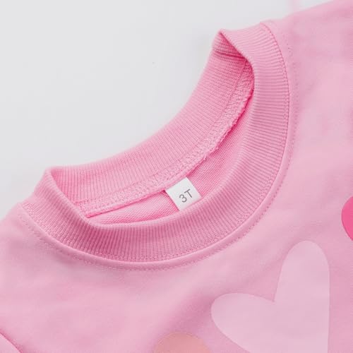 Image of Little Girls Outfits 2 Piece Toddler Long Sleeve Sweatshirt Leggings Pants Fall Winter Clothing Set 2-10 Years