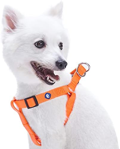 Blueberry Pet Essentials Classic Durable Solid Nylon Step-in Dog Harness, Chest Girth 20" - 26", Florence Orange, Medium, Adjustable Harnesses for Puppy Boy Girl Dogs