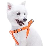 Blueberry Pet 19 Colors Step-in Classic Dog Harness, Chest Girth 16.5