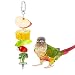 Bird Fruit Vegetable Holder Stainless Steel Vegetable Skewer Hanging Food Feed Tool for Parrot Budgies Parakeet Cockatiels Conure Lovebirds Finch Canary Pigeon Hamster Rat Gerbil Cage (7.9inch,20cm)