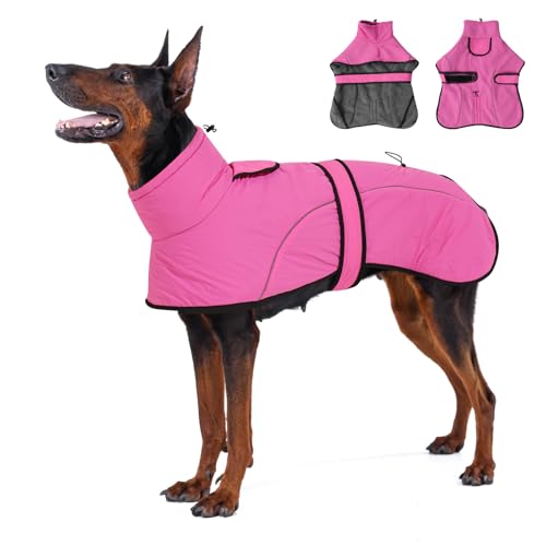 Dotoner Cappotto Impermeabile per Cani,Cappottino Cani,con Foro Guinzaglio e Bande,Giubbotto cane Antivento Invernale Termico con Bretchie Regolabile per Cane Taglia Piccola, Media e Grande