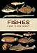 Fishes: A Guide to Their Diversity