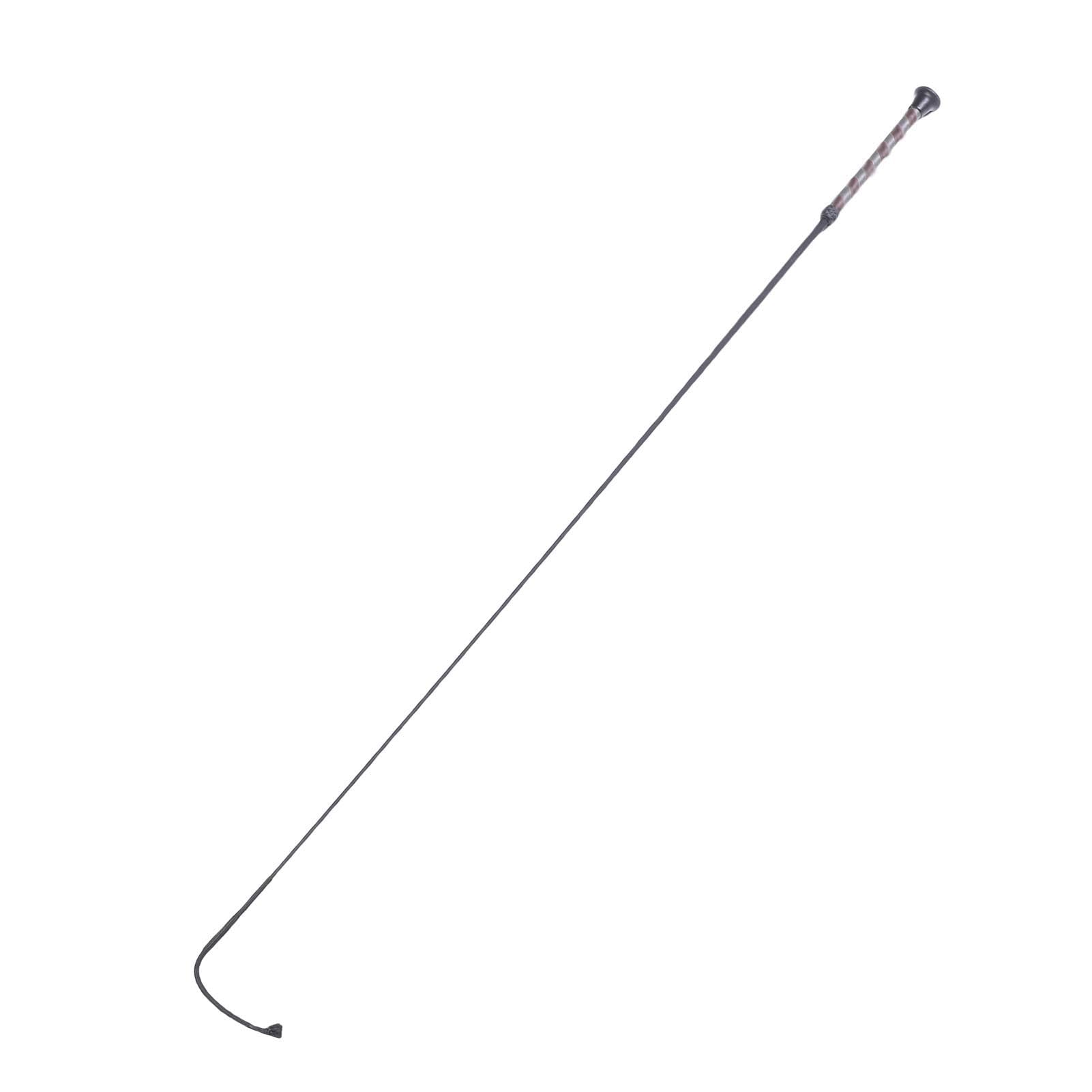 RiToEasysports Fusta de Caballo de Fibra de Carbono, Látigo de Montar de 110cm con Cabeza Tejida de Nylon para Entrenamiento Ecuestre