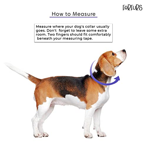 Image of Lightweight, Waterproof & Odour Proof Dog Collar - Extra Large, Brown