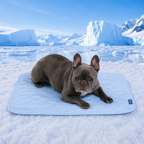 Spark Paws Cooling Mat for Dogs - Self Cooling Dog Mat & Pet Cooling Pad for Large Medium & Small Dogs - Non-Toxic Non-Gel Washable Cooling Bed - Hearts Blue - Size M