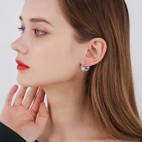 YYmqmq Ocean Guardian Sea Turtle Earrings – 925 Sterling Silver Huggie Hoops for Women – Perfect Gifts for Turtle Lovers - Image 6