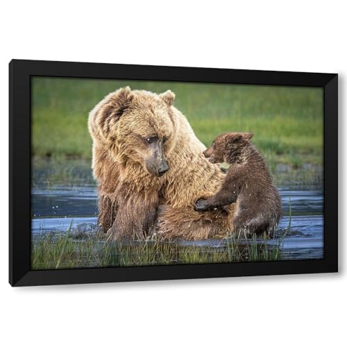 ArtDirect Bear-Back Ride? Custom Framed Art Print Giclee Print or Canvas Options with Various Sizes and Customization by C. Sink, Jeffrey