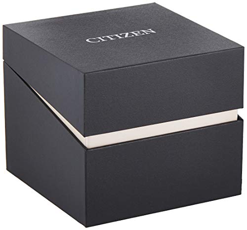 Image of Citizen Mens Metallic Analogue Watch - BF2020-51E (Black Free Size)