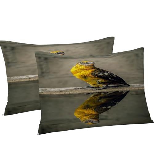 Housse de Couette 200x200 Microfibre Douce avec Fermeture Éclair - 8
