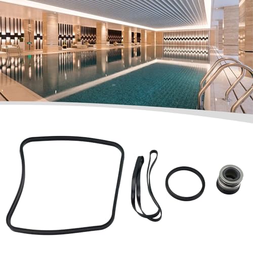 NEIQIUWING Juego de reparación de juntas tóricas para bombas de piscina Hayward (Super Pump SP2600, 1600, 2600X, Kit 3)