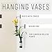 Danya B. QB102-2 Modern Home Décor - Wall Mount Hanging Glass Cylinder Vase Set with Metal Cradle and Hook