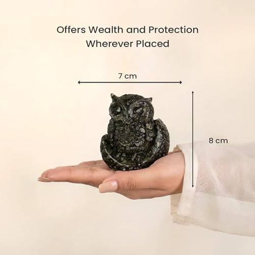 Image of Pyrite Tortoise Kachhua 2.7 Inch | Certified Original Crystal Turtle for Money, Good Luck & Wealth | Vastu Shastra Feng Shui Decor | Housewarming Gift Home Office (Pyrite Tortoise & Owl Combo)