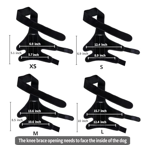 Image of M Dog Knee Brace for Torn ACL, Luxating Patella & Arthritis - Adjustable Support for Hind Leg, Cruciate Ligament, and Injury Recovery