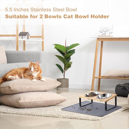 image for Summark Stainless Steel Raised Cat Food Bowl for 2 Bowls, 5.5-Inch Rep