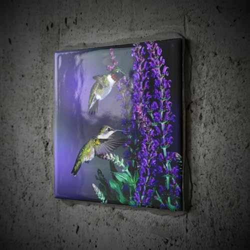 3dRose Ruby-Throated Hummingbirds at Lubeca Meadow 12 Inch Ceramic Tile image 5