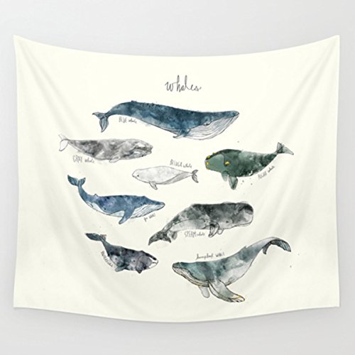 Shukqueen Tapestry Many Kind Whale Wall Hanging Tapestry for Adult Kids Bedroom Living Room Dorm Decor (60