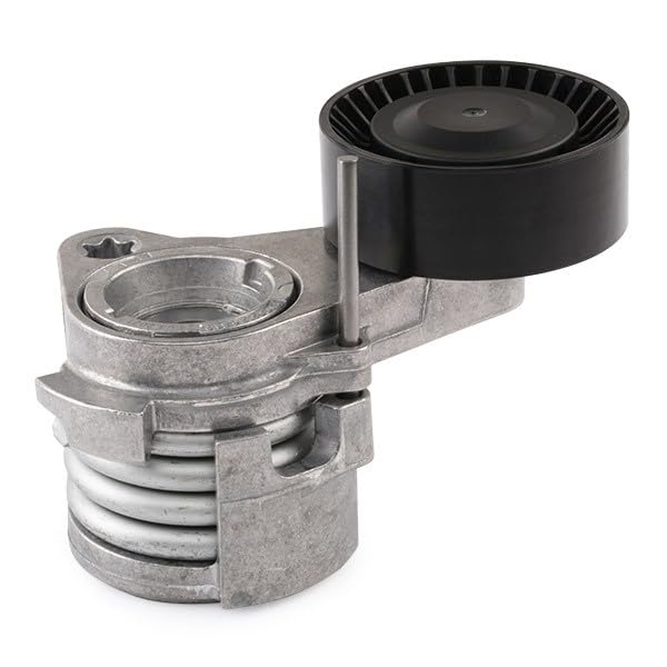 Tendeur De Courroie INA 534 0252 10 - Compatible BMW Série 1, 3, Z4 Et Autres Modèles
