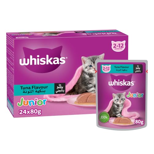 Whiskas Junior Wet Cat Eat Tuna in Jelly Wet Cat Food for Kittens Pack of 24 x 80g for Cats 2-12 Months