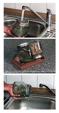 Eschenfelder 2er-Sprossen-Set 1000 ml Glas