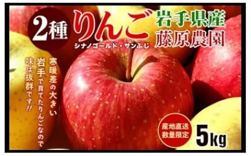 先行予約[2025年11月中旬〜発送]藤原農園のりんご2種の詰め合わせ『シナノゴールド・サンふじ』5kg 14玉〜20玉 果物類 美味しい 生産 果汁 果肉 やや硬い シャキシャキ 食感 絶品 高糖度 蜜 甘い 食べ比べ