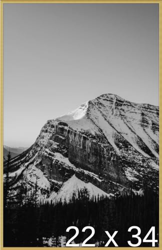 Frame It Easy 22 x 34 Gloss Gold Metal Frame (Ashford)