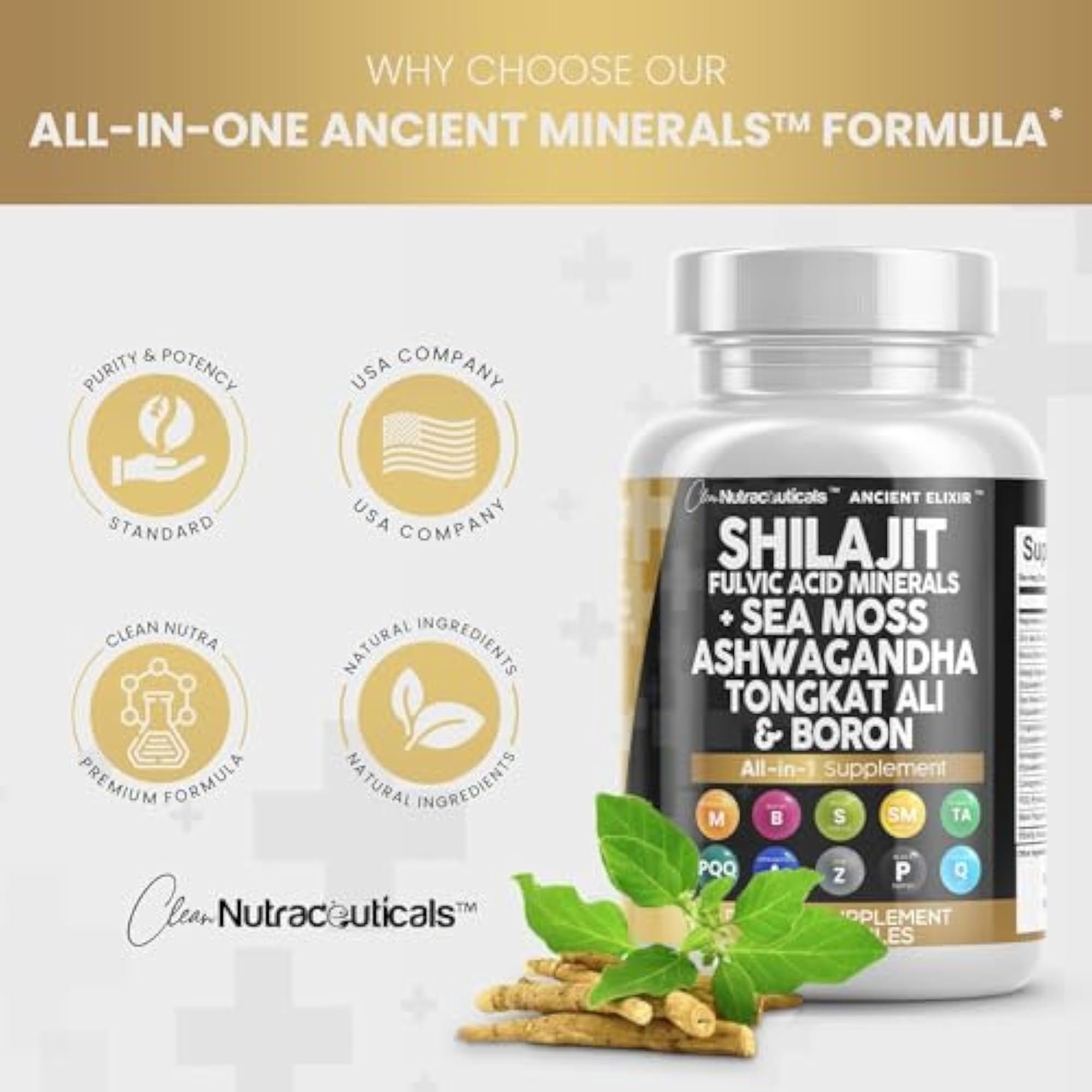 Athinika Nutrition Shilajit Supplement, 90 Count