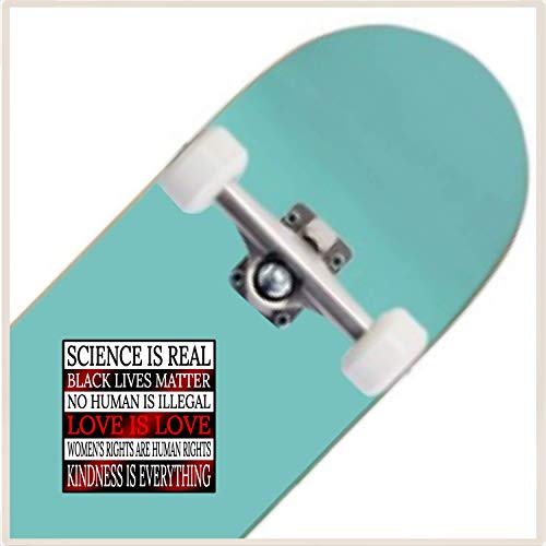 Kindness Is Everything Bumper-Sticker - Love-Is-Love Human Rights Vinyl Decal 3 X 3" L Car Auto Window Real Science Black Lives Matter Blm Lgbt-Q-Ia + Better Than Magnets Coexist Dismantle Patriarchy #TOP6