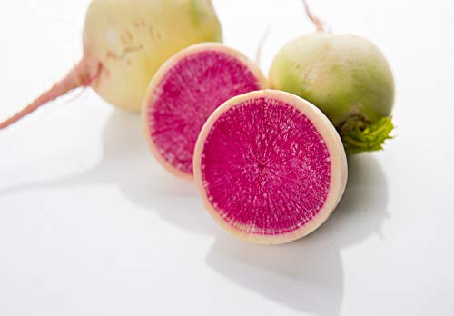 Watermelon Radish Seeds For Planting, 120+ Heirloom Seeds Per Packet, (Isla's Garden Seeds), Non Gmo Seeds, Botanical Name: Raphanus Sativus Acanthiformis, Great Home Garden Gift #TOP4