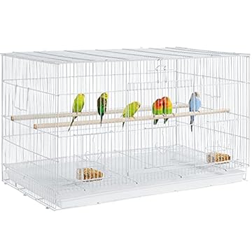 Flight Cages for Canaries: Which 5 Will Transform Your Bird’s Home? 1 flight cages for canaries