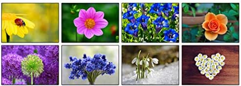 32 Different Flower Photo Blank Greeting Cards