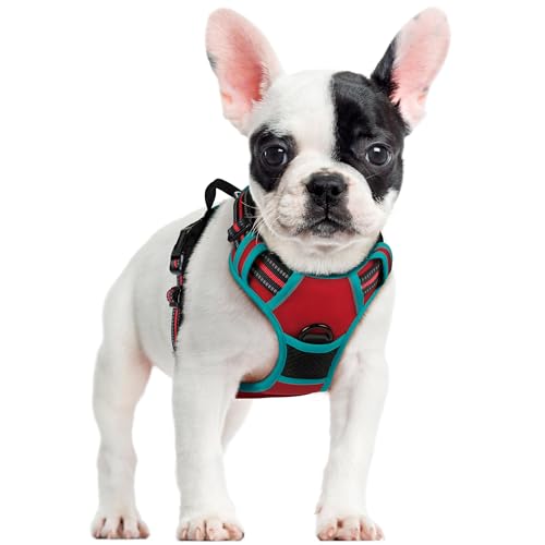 Image of rabbitgoo Dog Harness No Pull with 2 Leash Clips, Adjustable Soft Padded, Reflective Oxford No Choke Pet Vest with Easy Control Handle for Small Dogs, Red & Teal, S