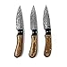 BucknBear Custom Handmade Fixed Blade Damascus Hunting Knife with Leather Sheath - Drop Point (Utility) (Olivewood/G10) Handle