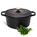 ProCook - Cocotte Ronde avec couvercle - Faitout Bas - 24 cm / 4,7L - Noir Mat - Fonte Émaillée - Compatible avec Toutes Sources de Chaleur (Induction Incluse)