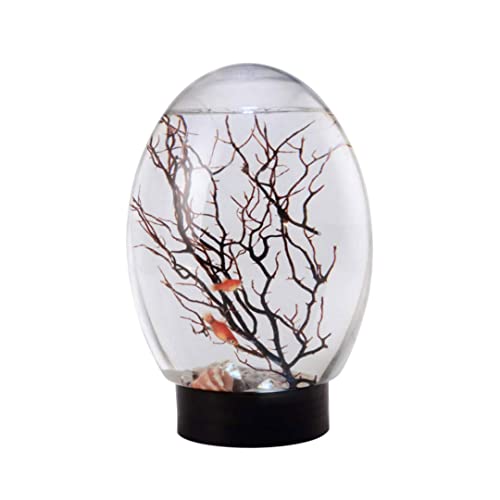 PequeñO Tank De Pescado Mini Aquarium Goldfish Tank Ecosphere Ecosistema AcuáTico Cerrado con Acuario De Escritorio Ligero Base Negra Estable Sin Necesidad De Alimentar Ni Cambiar Agua PequeñO Tank De Pescado Mini Aquarium Goldfish Tank Ecosphere Ecosistema AcuáTico Cerrado con Acuario De Escritorio Ligero Base Negra Estable Sin Necesidad De Alimentar Ni Cambiar Agua