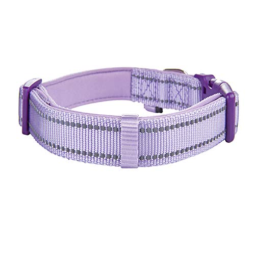 Petiry Reflective Nylon Dog Collar With Breathable Neoprene Padding,Adjustable For Small Dogs.(9.8"-15",Lilac Purple) #TOP2
