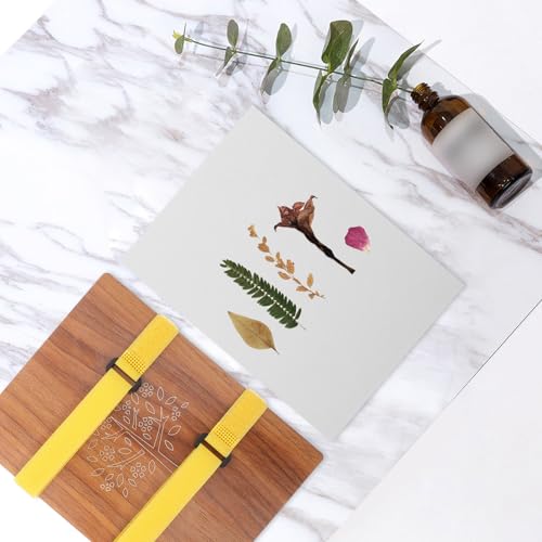 Papier absorbant pour réaliser des fleurs pressées nettes SKISUNO - 6