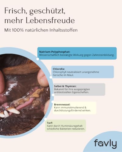 FAVLY DENTAL Zahnpflege Pulver für Hunde 250g gegen Maulgeruch – Ansicht 2