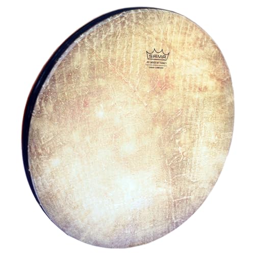 Profissional persa Daf Erbane Def Tambor RAD-404