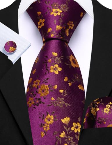 Image of Barry.Wang 6 PCS Men Ties Set Silk Business Fashion Woven Necktie Handkerchief Cufflinks Paisley Stripe Wedding Party