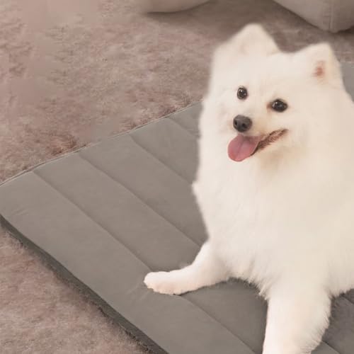 Tapis de refroidissement pour animal domestique et cage à chaton