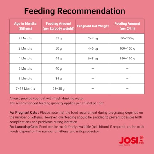 Image of JosiCat Kitten Junior Premium Dry Food for Growing and Carrying (1.9kg x 3) & Lactating Cats with High Energy Content & Valuable Salmon Oil & Vitamins Powered by Josera