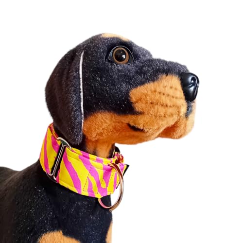 Woofpetshop® Martingale Hundehalsband, Halsband für kleine, mittelgroße und große Hunde, ideales Hundehalsband Windhunde und Podenco (Zebra Yellow, 5 cm - Größe S (34-44 cm))