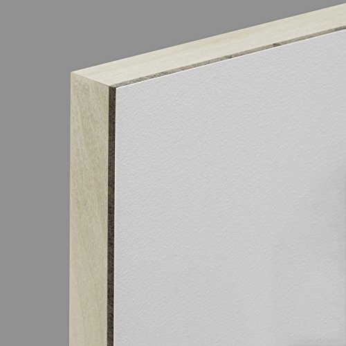 Ampersand Aquabord Panel For Watercolor And Gouache, 7/8 Inch Depth, 18X24 Inch (Cbtc1824) #TOP1