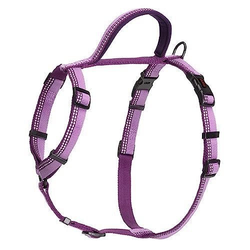 HALTI Walking Hundegeschirr – Mit weichem Neopren-gefüttertem Griff, 5 verstellbare Riemen und 3M-Reflektorgewebe. Geeignet für mittelgroße Hunde (Größe M, Lila)