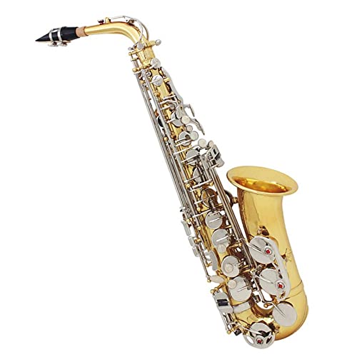 EB AgTbNX E tbgTbNX ~[WJ ؊Ǌy U[P[X }EXs[X [h