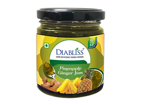 DiaBliss Diabetic Friendly Mixed Fruit Jam 225g Low Glycemic Index(GI) Sugar Free Alternative (Pineapple Ginger Jam) (B0BN7T1YZL) Amazon Price History, Amazon Price Tracker