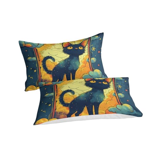 Parure de lit chat flamme 3D drap microfibre super douce - 3
