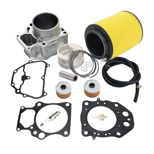 Kit bloc-cylindres et filtre à air pour TRX420 Ra 17254-HP5-600