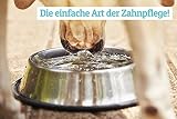 Schnüffelfreunde Zahnpflege Wasserzusatz für Hunde und Katzen | Frischer Atem und gesunde Zähne - Hilft Plaque und Zahnstein vorzubeugen - 500ml (Classic)