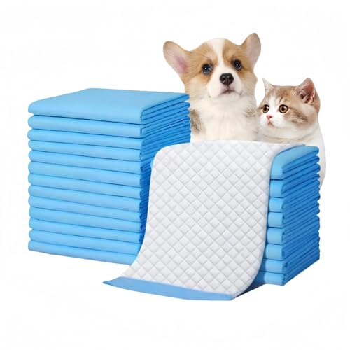AOUCN ybgpApbh pĝ ybgppbh pgCg[jOpbh 肨ނ ^  60x90cm u[ (/20 60x90cm)